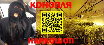 mdpv Краснознаменск