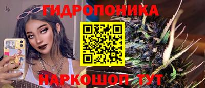 mdpv Краснознаменск