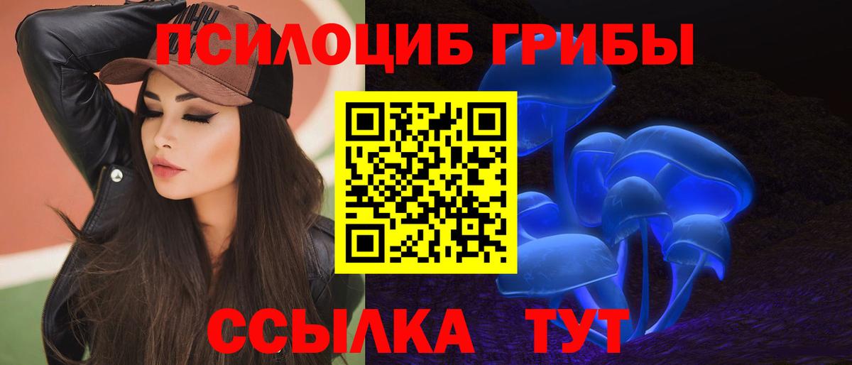 где купить наркоту  Галлюциногенные грибы Magic Shrooms  Вход с VPN  Псилоцибиновые грибы ЛСД  Донской 